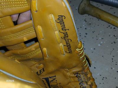 Wooden Rawlings Adirondack t-ball bat - two softball gloves - and a ball