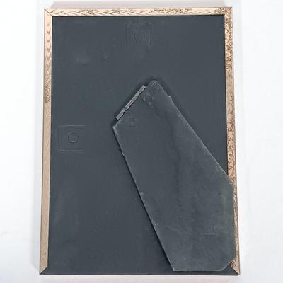 LOT 149B: Autographed Sports Memorabilia- Firebirds Bay Schultz Photo, NHL Tony Esposito, MLB Bob Feller & More