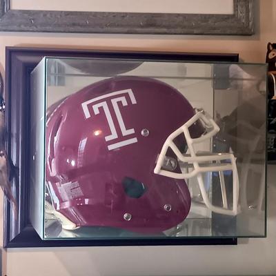 LOT 154B: Temple Owls Helmet