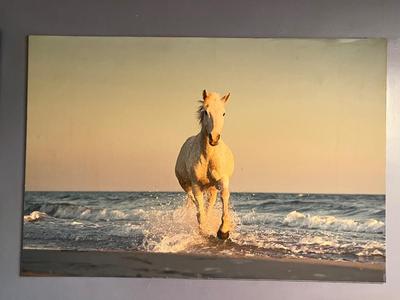 LOT 167L: Large Photographic Horse Print