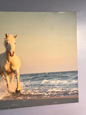 LOT 167L: Large Photographic Horse Print