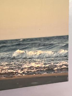 LOT 167L: Large Photographic Horse Print