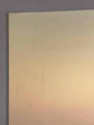 LOT 167L: Large Photographic Horse Print