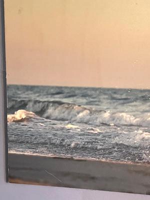LOT 167L: Large Photographic Horse Print