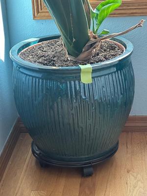 Large planter.
