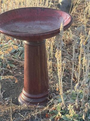 Birdbath / xl Pot