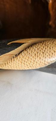 Pair of Vintage Asian Water Buffalo Horns, Embossed Dragons and Tigers