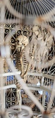 Victorian Birdcage with Skeleton inside 23" tall