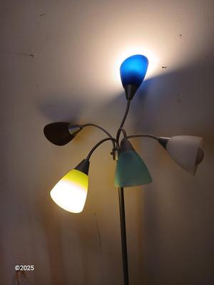 Contemporary 5 Light Floor Lamp with Multi Color Shades Bendable / adjustable Goosenecks