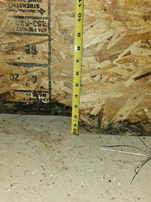 Two sheets of OSB wood sheets