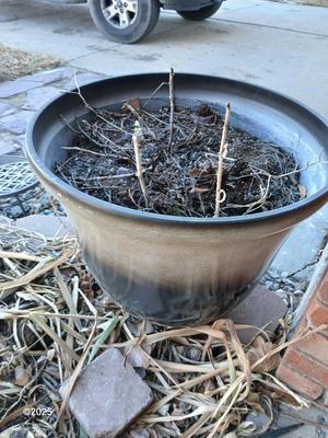 21" Dura plastic planter / flowerpot (2 of 2)