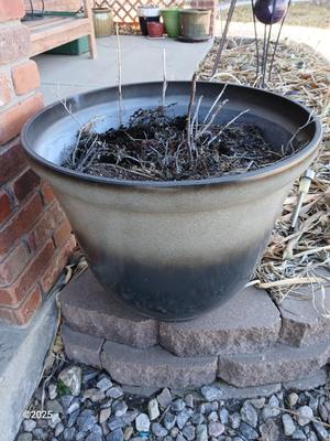 21" Dura plastic planter / flowerpot (2 of 2)