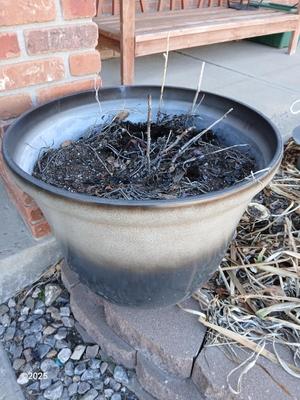21" Dura plastic planter / flowerpot (2 of 2)