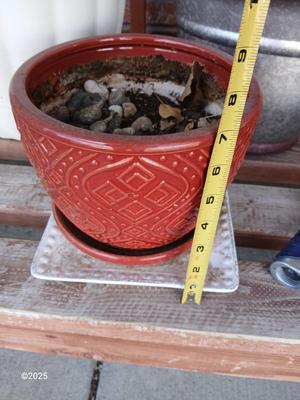 Three planters / flowerpots with a hose watering attachment