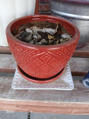 Three planters / flowerpots with a hose watering attachment