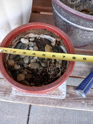 Three planters / flowerpots with a hose watering attachment