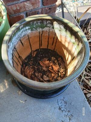Green glazed ceramic planter / flowerpot with basin