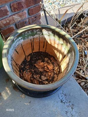 Green glazed ceramic planter / flowerpot with basin