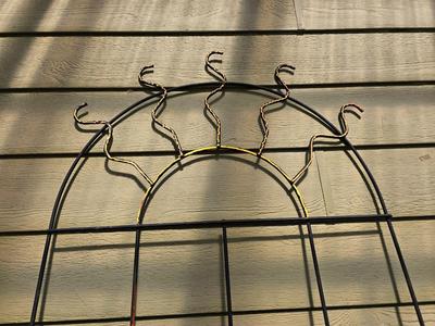 Large Trellis with Sunshine