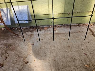 Large Trellis with Sunshine