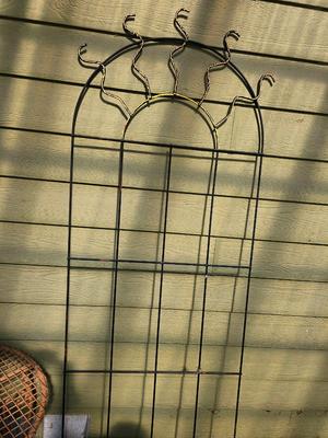 Large Trellis with Sunshine