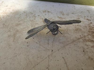 Four metal garden frogs and a strand of dragonfly lights