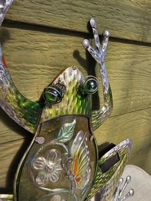 Four metal garden frogs and a strand of dragonfly lights