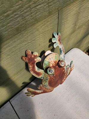 Four metal garden frogs and a strand of dragonfly lights