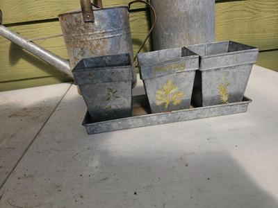 Galvanized watering can, waterer with a pout, and three herb pots with a tray