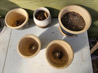 Five small ceramic plant pots - NICE POTS!