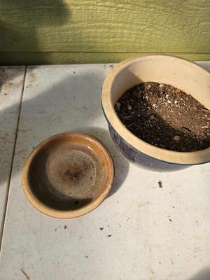 Five small ceramic plant pots - NICE POTS!