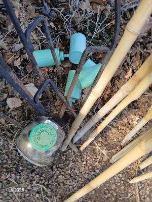 Four metal tiki torches - Bamboo torches with a jug of tiki fuel