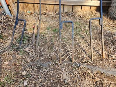 Four metal tiki torches - Bamboo torches with a jug of tiki fuel