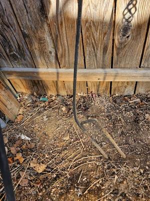 Four metal tiki torches - Bamboo torches with a jug of tiki fuel
