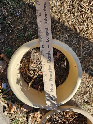 Two French planters - ceramic plant pots - flowerpots 8" tall 11" wide