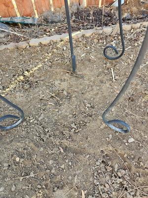 Two matching black metal plant stands