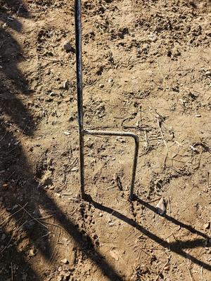 Metal Horseshoe flower with shepherd's hook