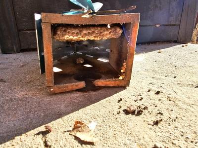 Grouping of Bird feeders and small wooden bird houses
