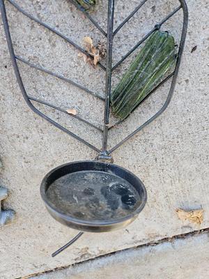 Two leaf like wall shelves with a old man - leaf man wall shelf