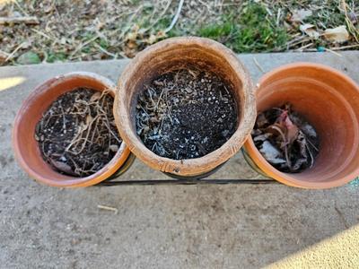 3 tiered plant stand with 3 terra cotta pots, small garden handtools, and watering can
