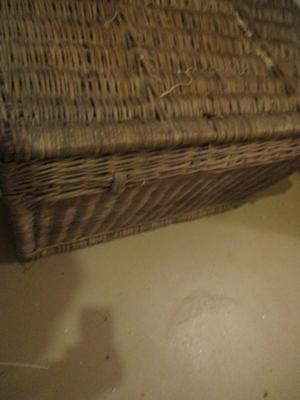 Wicker Storage Chest
