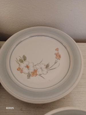 4 piece dinnerware set - Impressions by Daniele Stoneware Riverside Dishwasher & Microwave safe