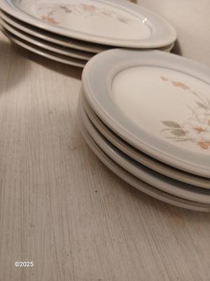 4 piece dinnerware set - Impressions by Daniele Stoneware Riverside Dishwasher & Microwave safe