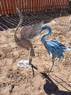 Two metal yard art birds