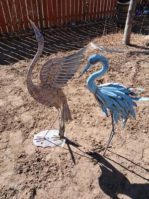 Two metal yard art birds