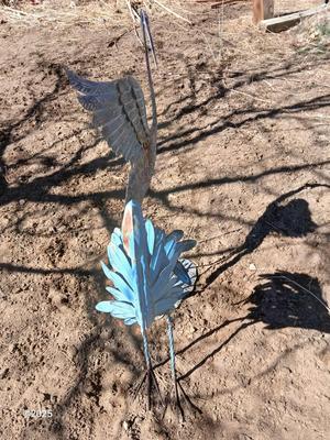 Two metal yard art birds