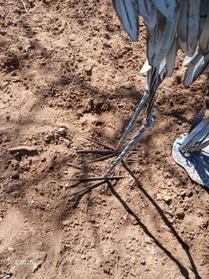 Two metal yard art birds