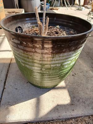 22" Laurel Planter - Flowerpot - Moss colored Dura plastic pot