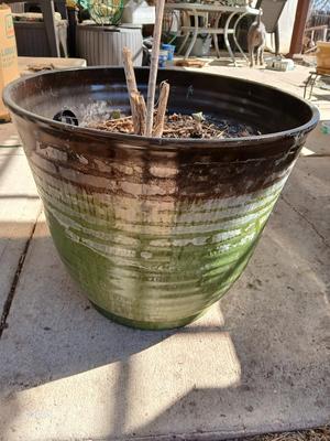 22" Laurel Planter - Flowerpot - Moss colored Dura plastic pot