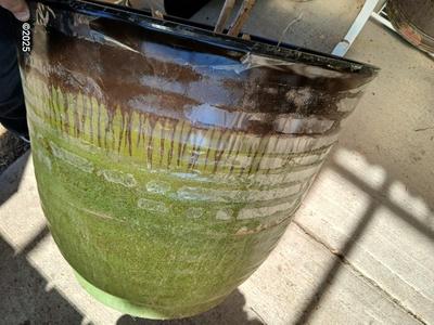22" Laurel Planter - Flowerpot - Moss colored Dura plastic pot